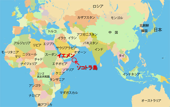 イエメン領ソコトラ島