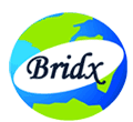 Brid logo