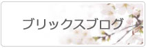 ブリックスブログはこちら