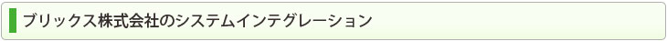 ブリックス株式会社のシステムインテグレーション